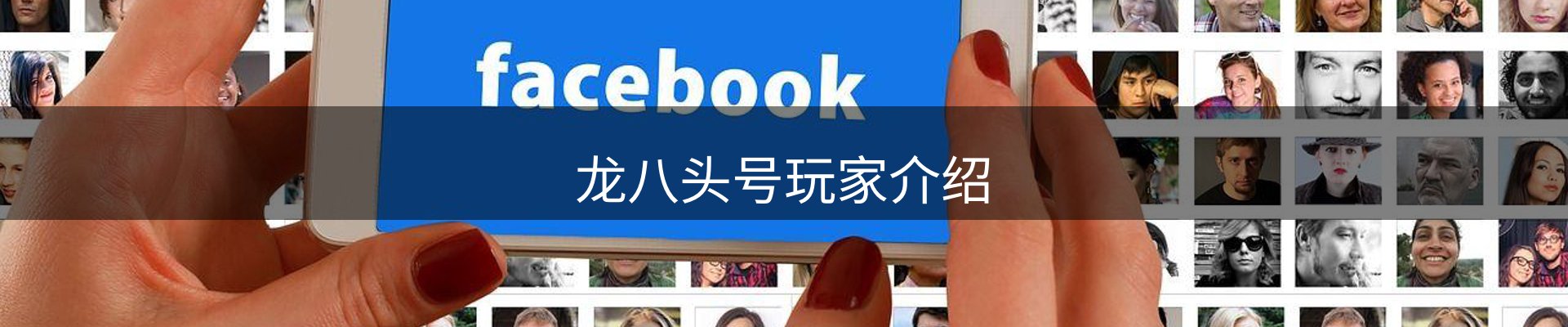 龙八头号玩家介绍